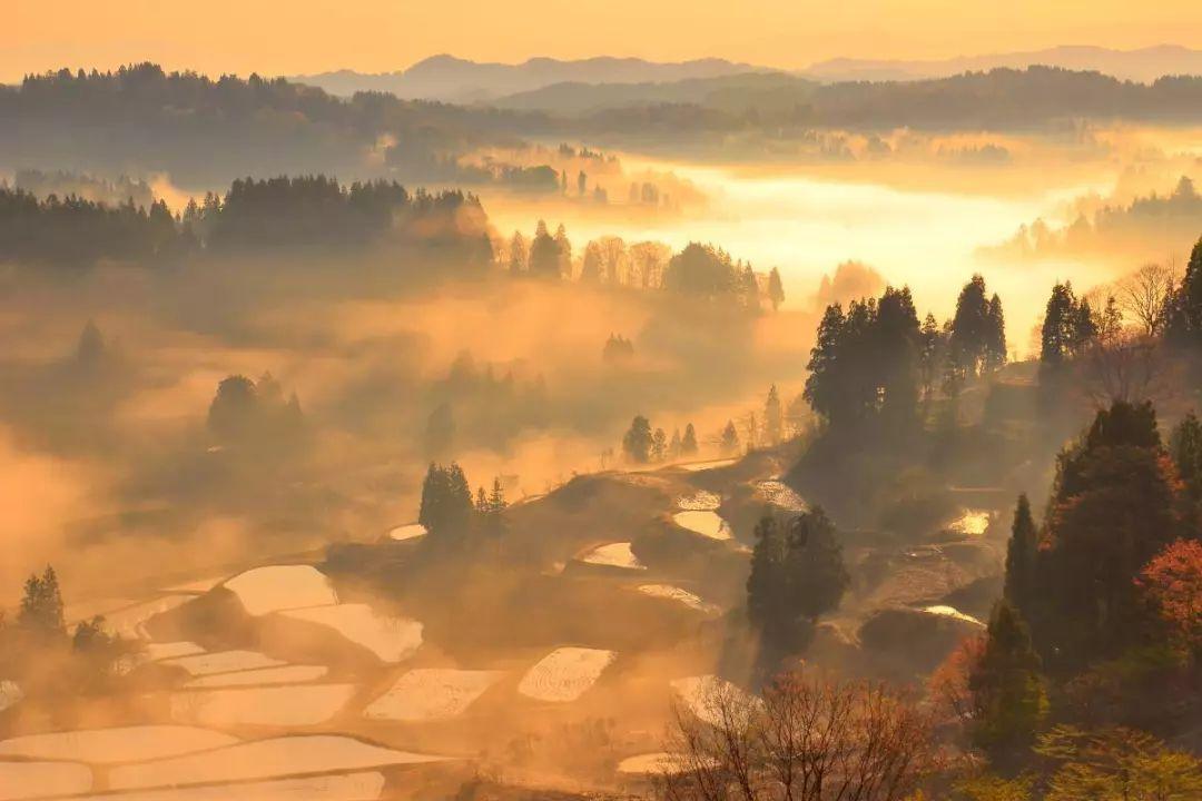 向上跳的香蕉